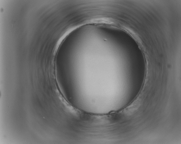 X0000062890816200601201844