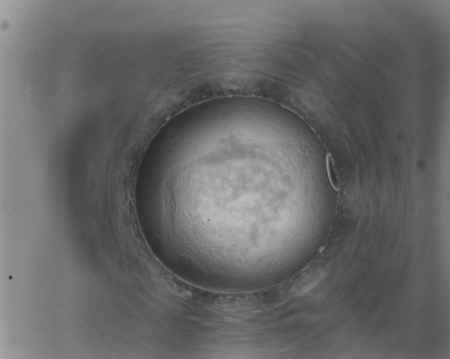 X0000062890817200601201843