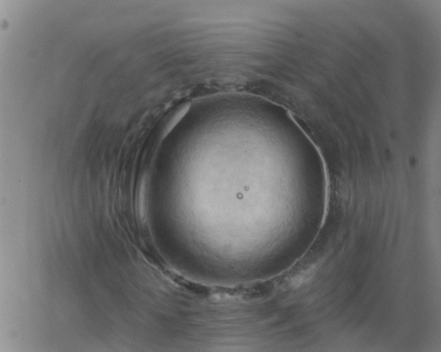 X0000062890818200601201843