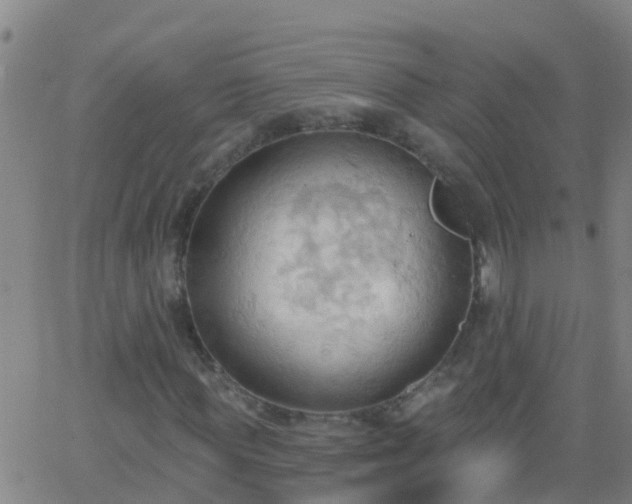 X0000062890819200601201843