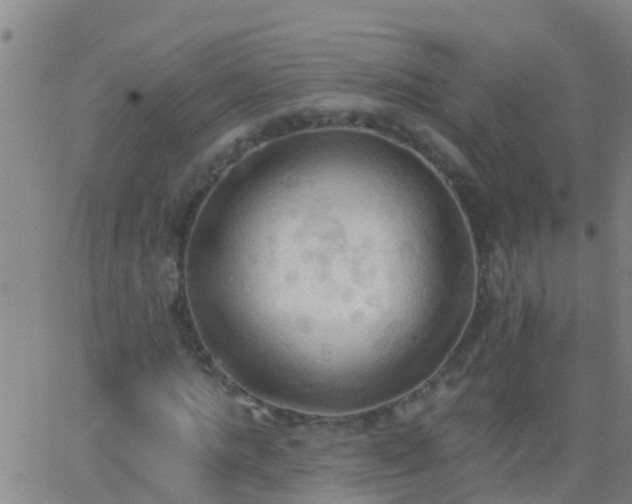 X0000062890821200601201843