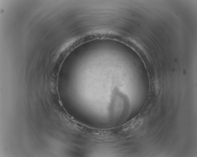 X0000062890823200601201843