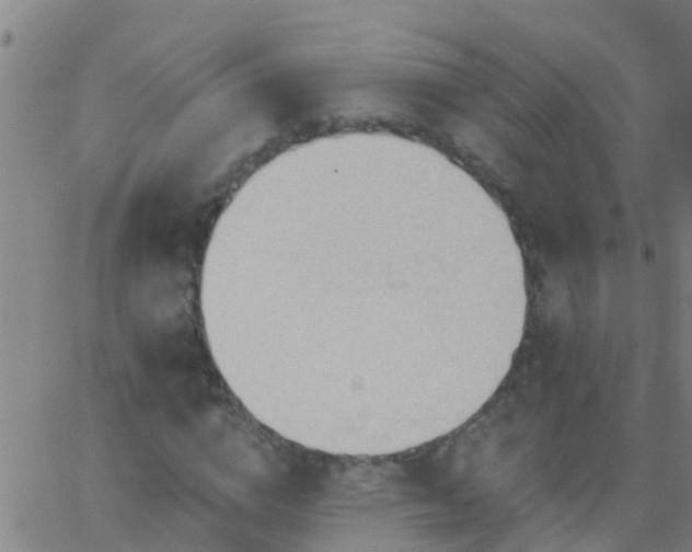 X0000062890824200601201843