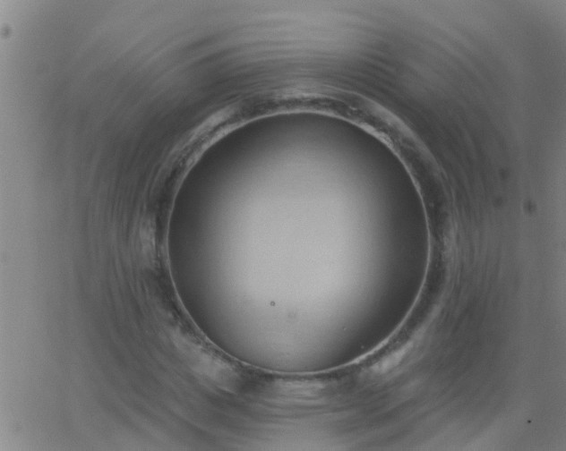 X0000062890825200601201843