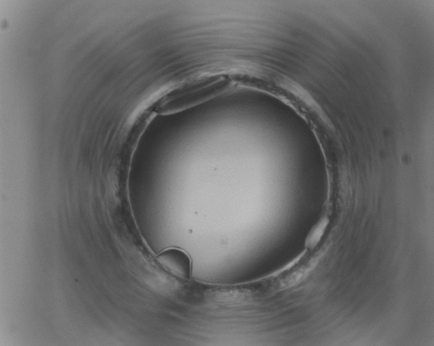 X0000062890826200601201843