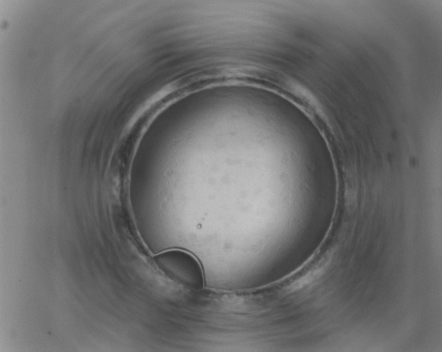 X0000062890827200601201843