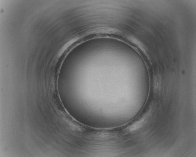 X0000062890829200601201843