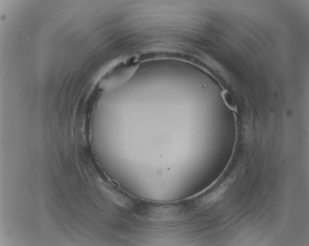 X0000062890830200601201843