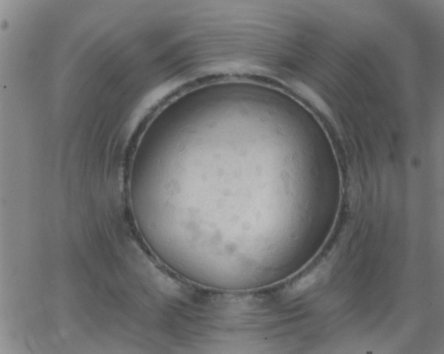 X0000062890831200601201843