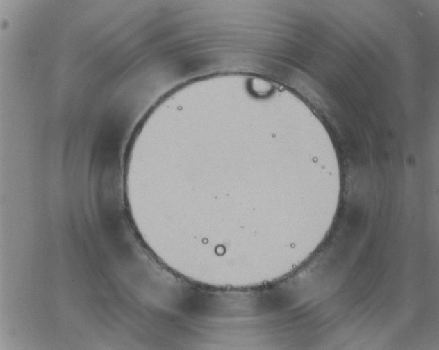 X0000062890836200601201843