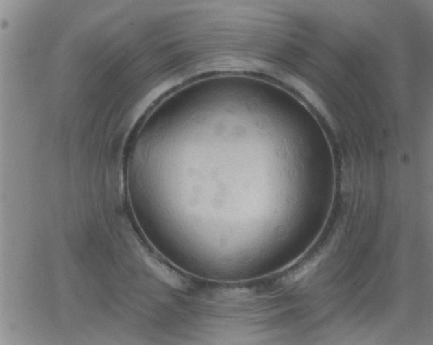 X0000062890837200601201843