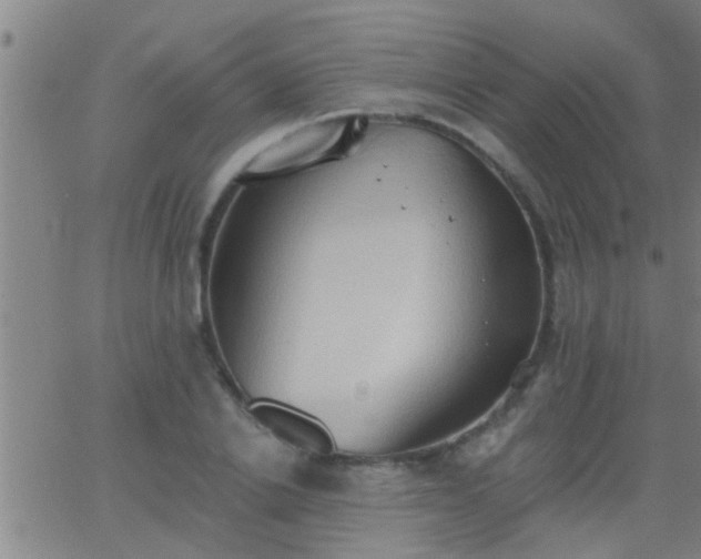 X0000062890838200601201843