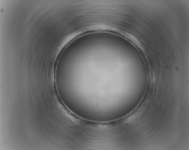 X0000062890839200601201843