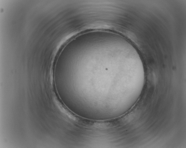 X0000062890840200601201843