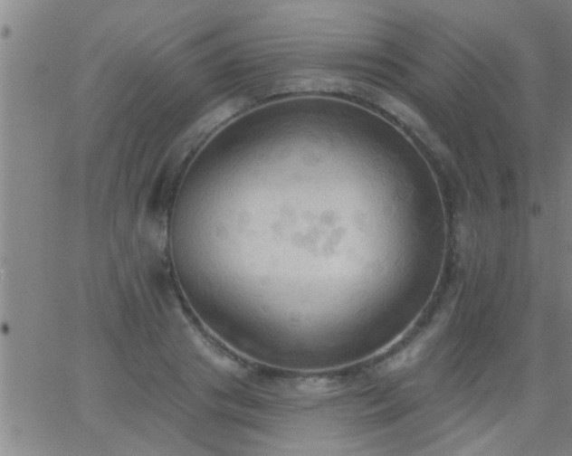 X0000062890841200601201844