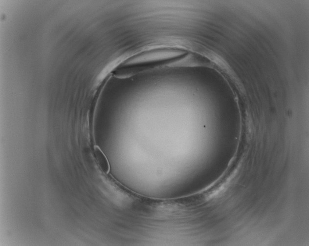 X0000062890842200601201844