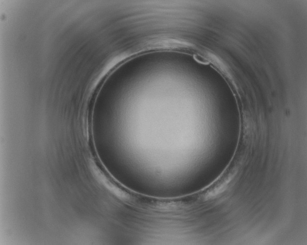 X0000062890843200601201844