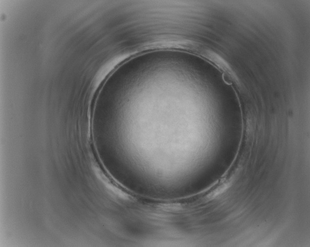 X0000062890844200601201844