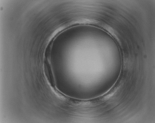 X0000062890845200601201844