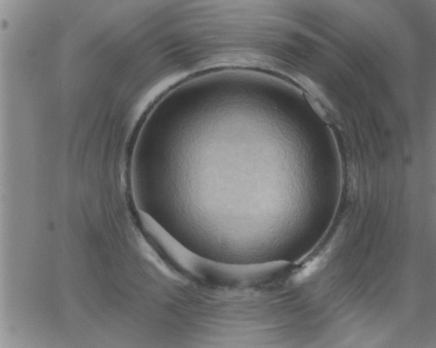 X0000062890846200601201844