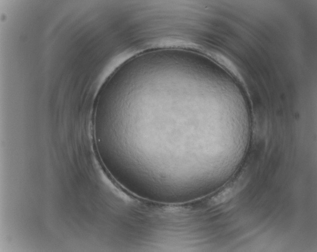 X0000062890847200601201844