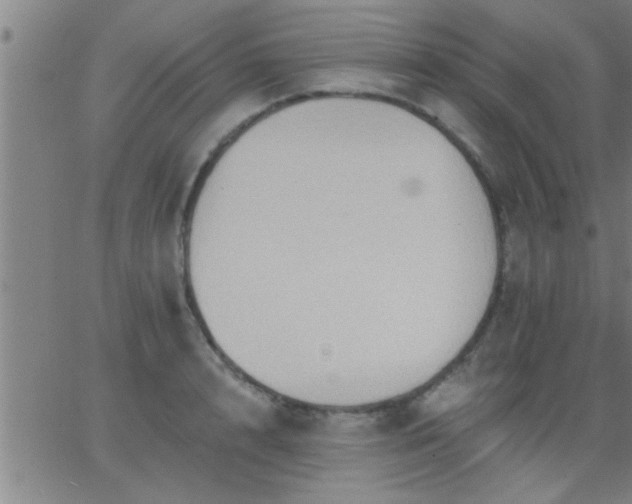 X0000062890848200601201844