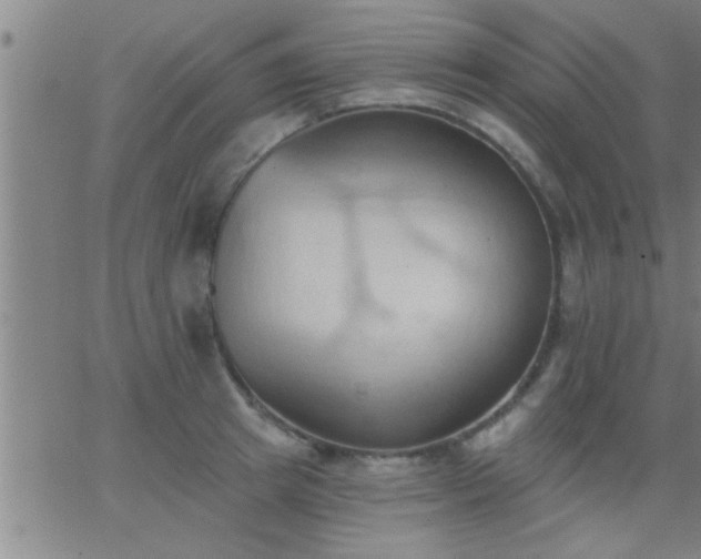 X0000062890849200601201844