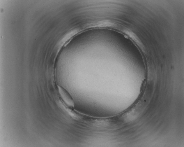 X0000062890850200601201844