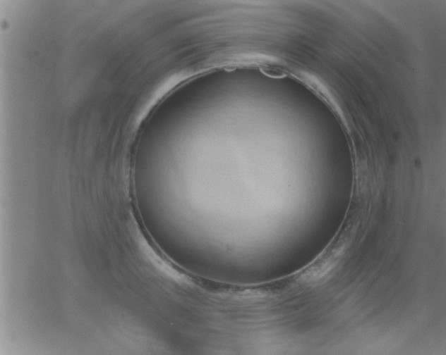 X0000062890851200601201844