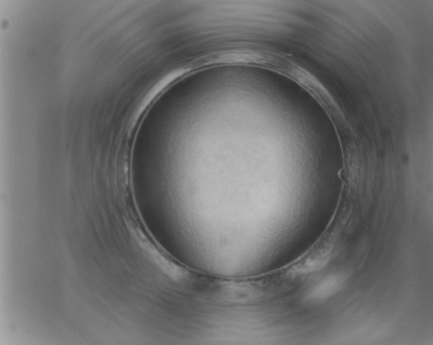 X0000062890852200601201844