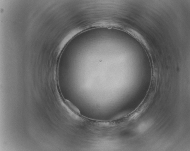 X0000062890855200601201844