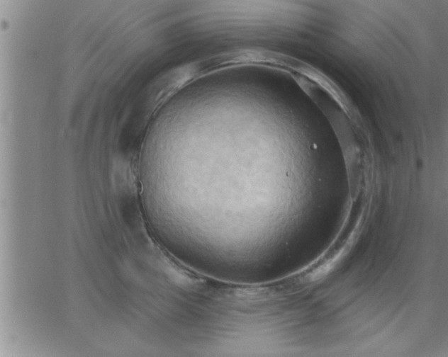 X0000062890857200601201844