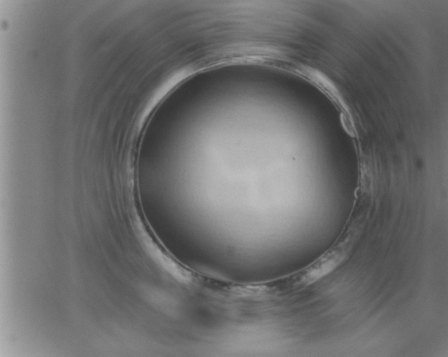 X0000062890859200601201844