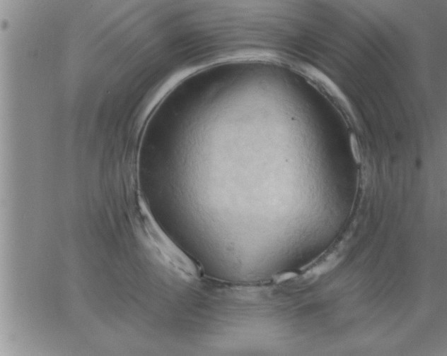 X0000062890860200601201844