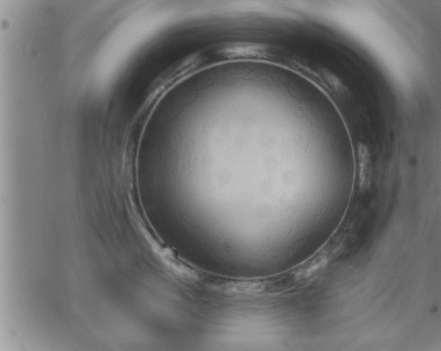 X0000062890861200601201844