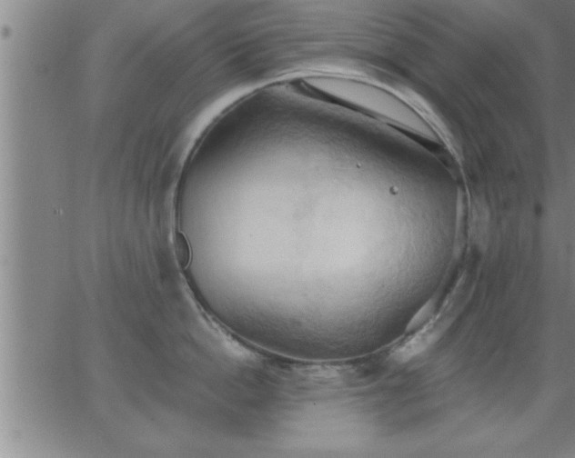 X0000062890862200601201844