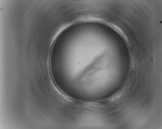 X0000062890863200601201844