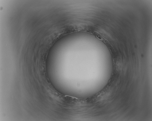 X0000062890865200601201843