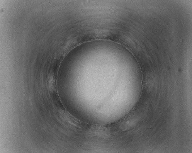 X0000062890866200601201843