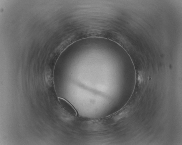 X0000062890867200601201843