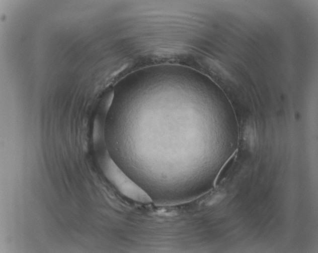 X0000062890868200601201843