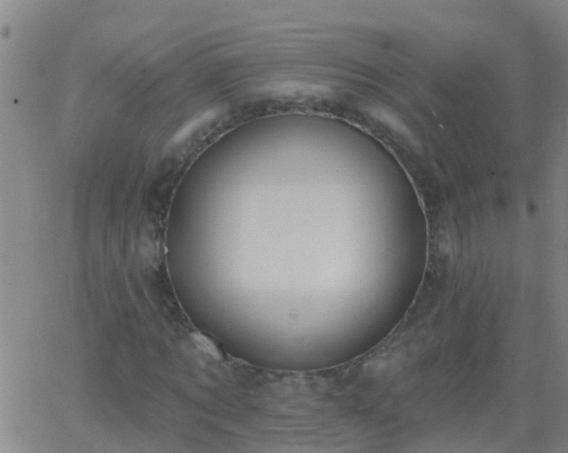 X0000062890869200601201843