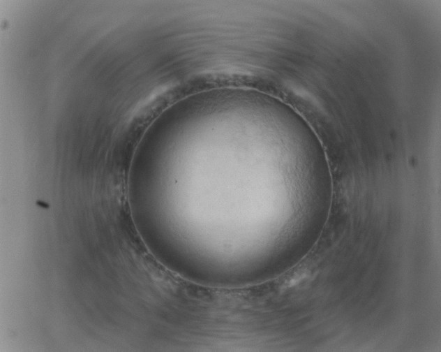 X0000062890870200601201843