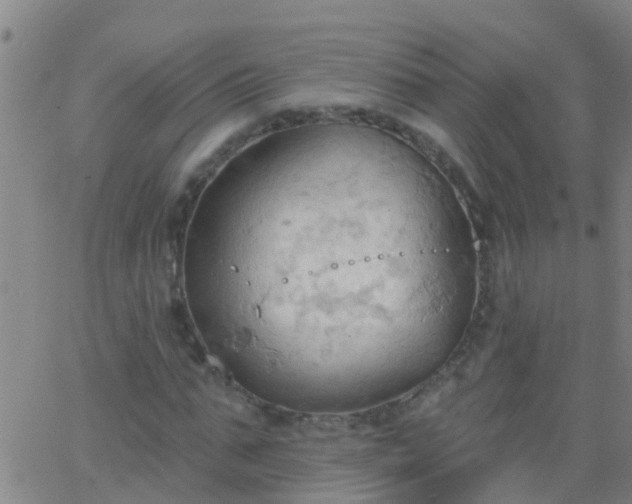 X0000062890871200601201843