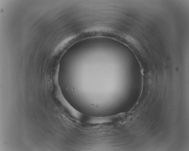 X0000062890872200601201843