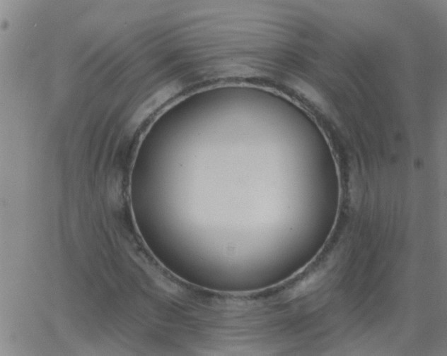 X0000062890873200601201843