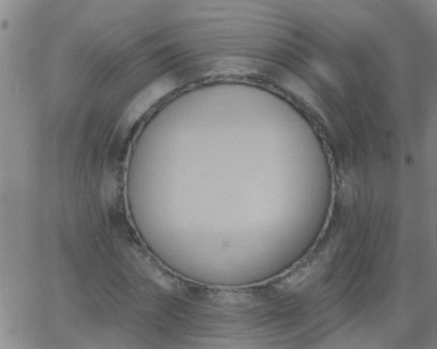 X0000062890874200601201843