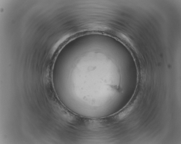 X0000062890875200601201843