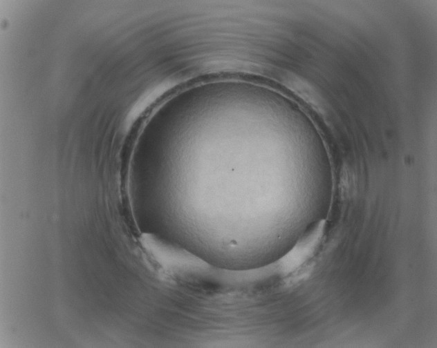 X0000062890877200601201843