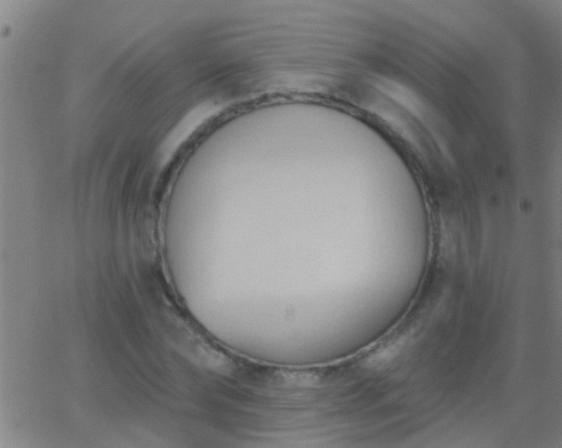 X0000062890878200601201843